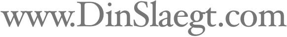 www.DinSlaegt.com